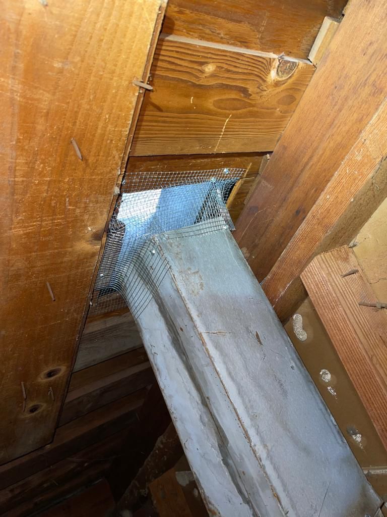 Eco-friendly sanitizer applied to the attic