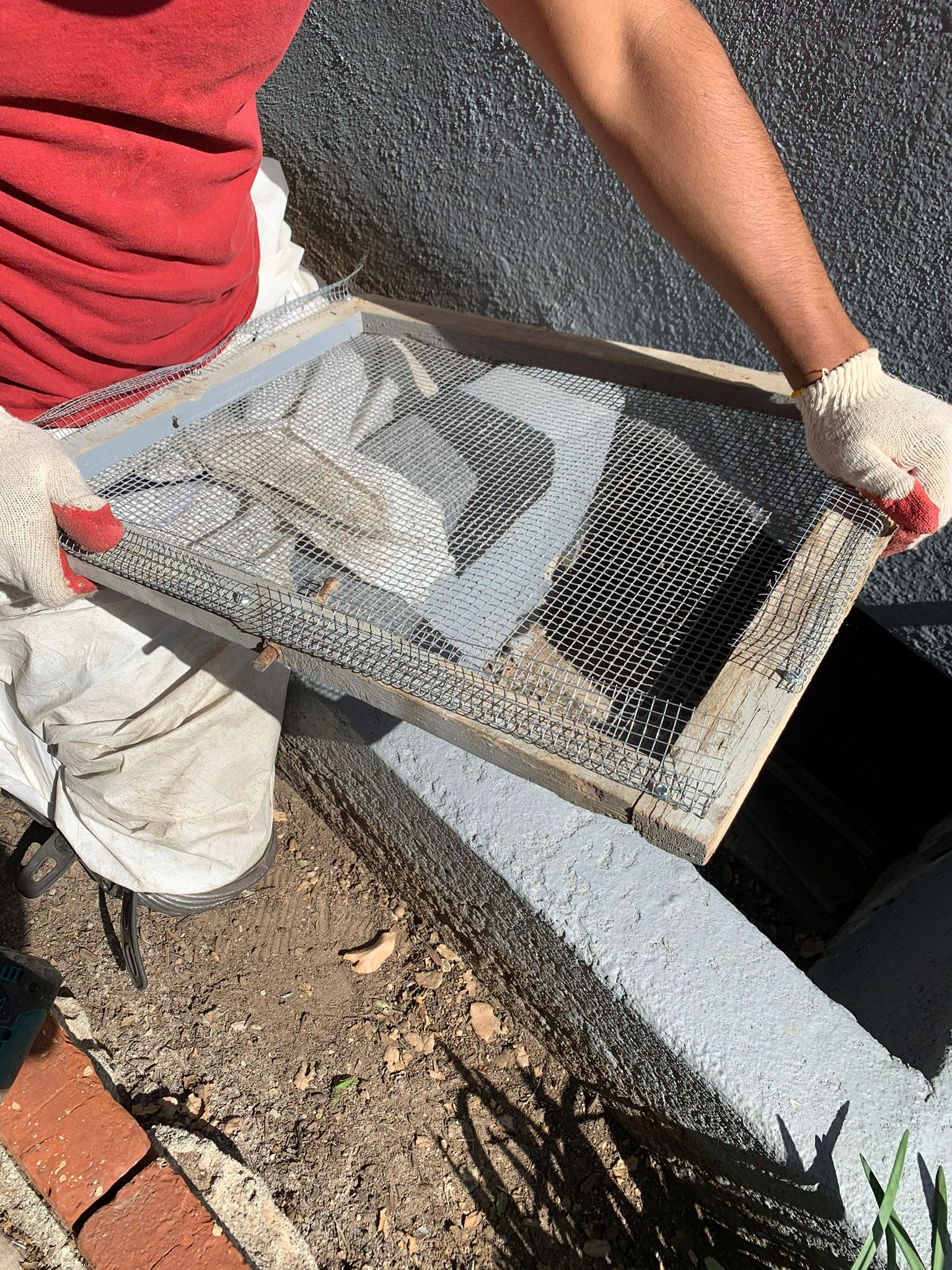 Disinfecting the attic space