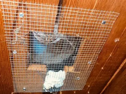 Rodent proofing, air seal and sanitizer