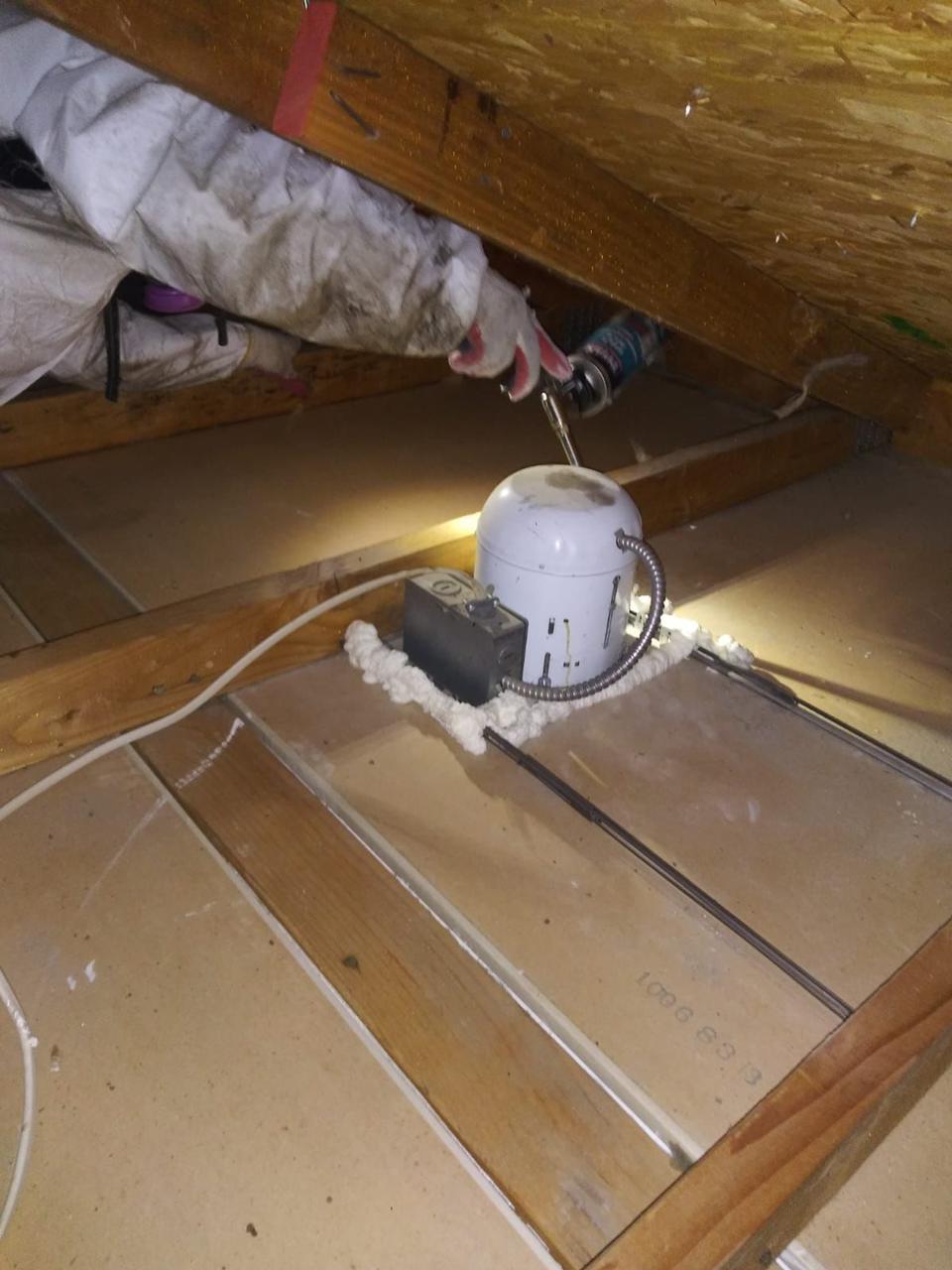 Rodent proofing and sanitizing work in an attic