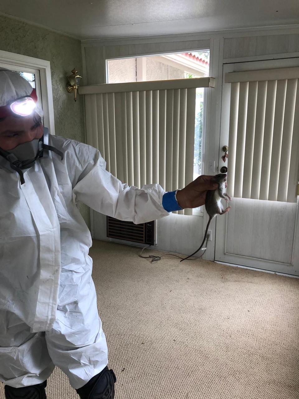 Air sealing the attic floor with spray foam