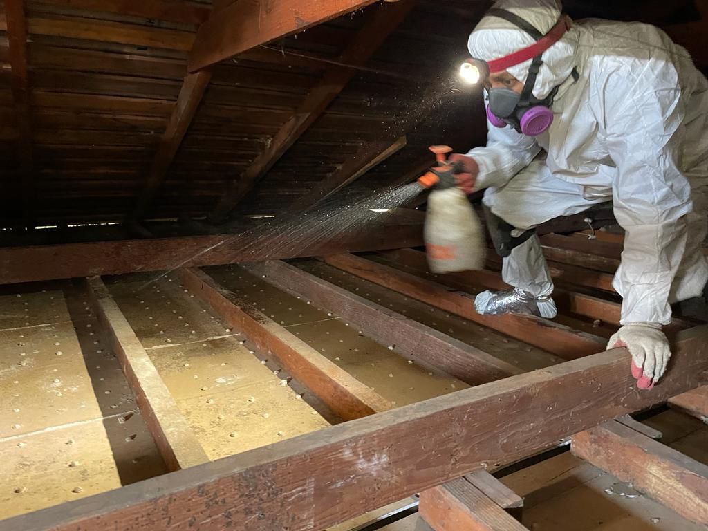Attic cleaned with a high-volume vacuum